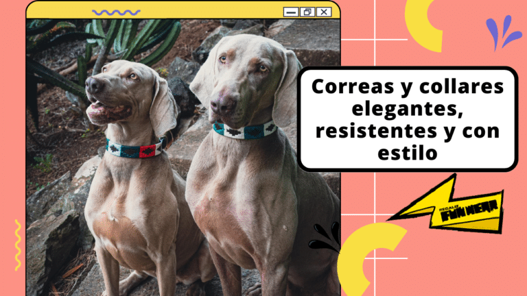 Correas y collares de perros de Cuero Argentino