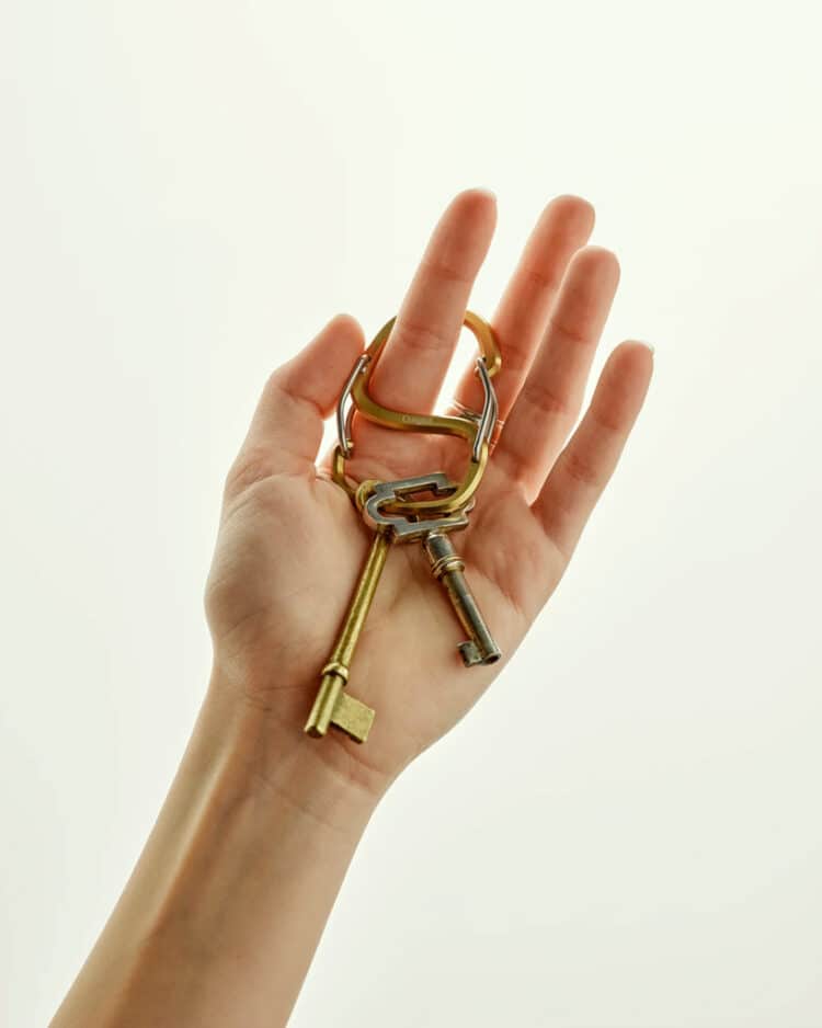 Llavero Craighill Coachwhip bronze