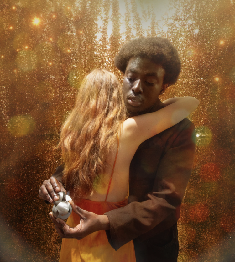 Rompecabezas Craighill Puzzle steel