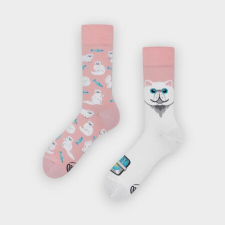 Calcetines Many white cat