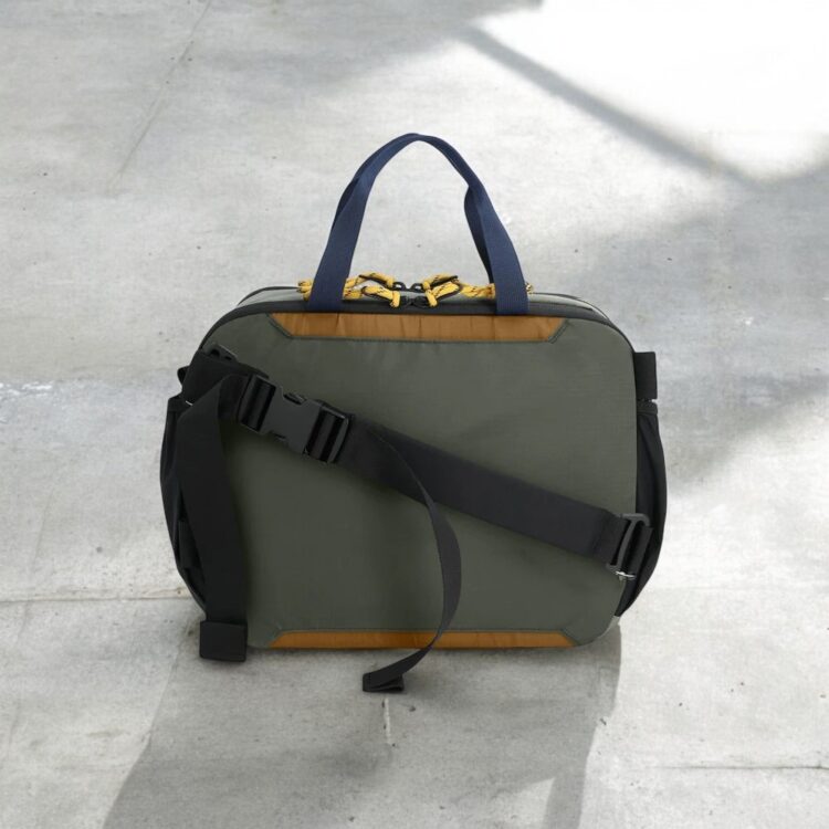 bandolera Mountain cross beetle