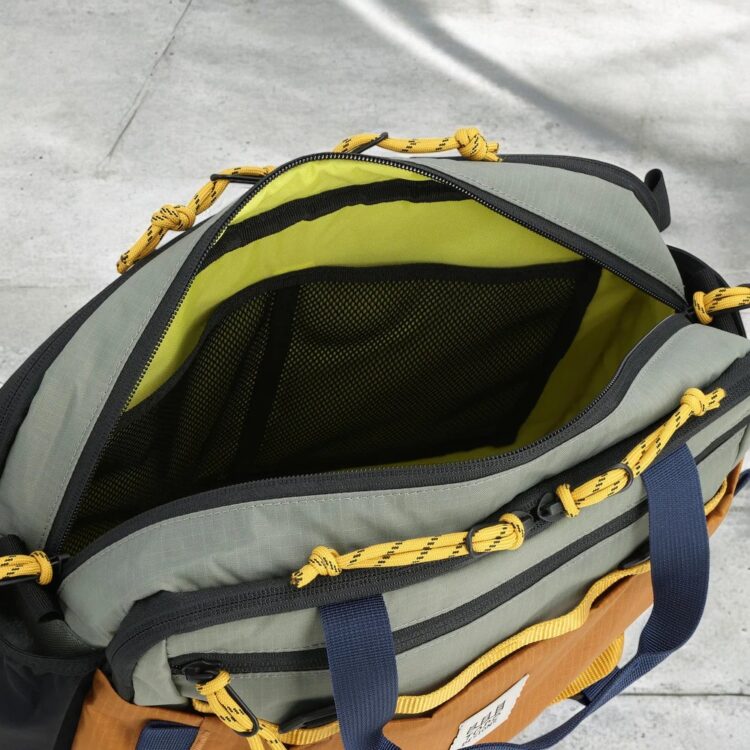 bandolera Mountain cross beetle