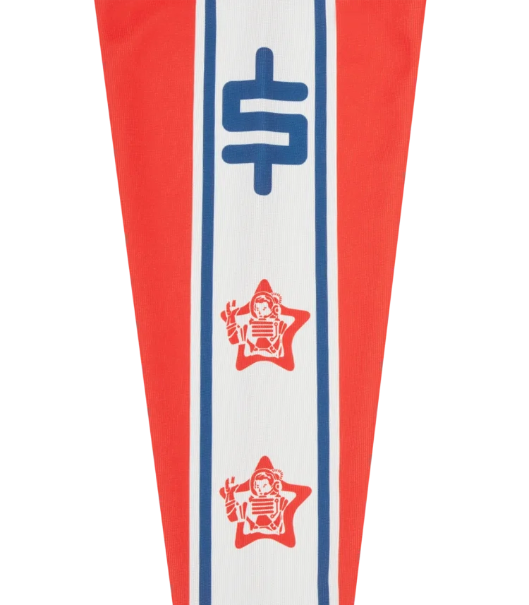 Camiseta Astro star hockey