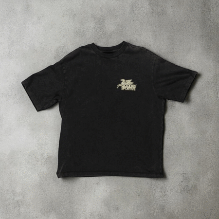 Camiseta Dusty premium Pegasus