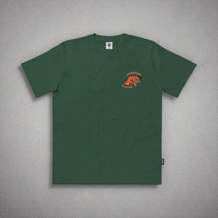 Camiseta No one cares