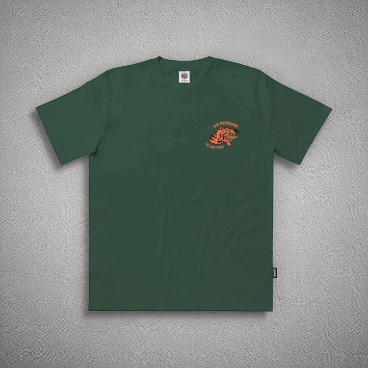 Camiseta No one cares