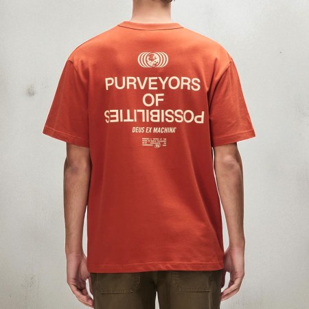 Camiseta Deus Axis terracotta