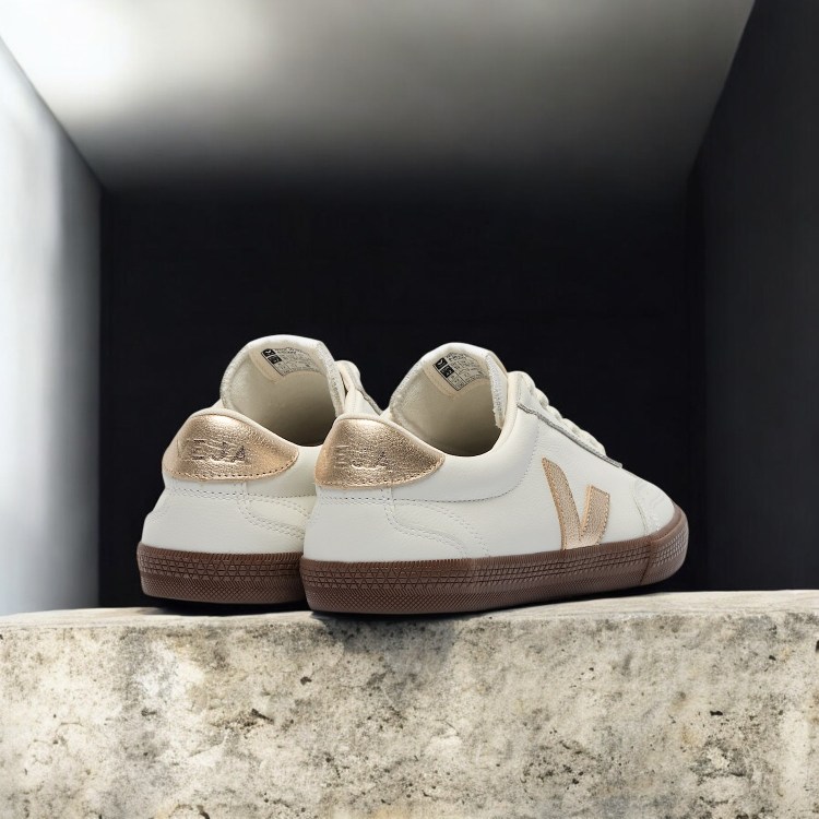 Veja Volley leather platine