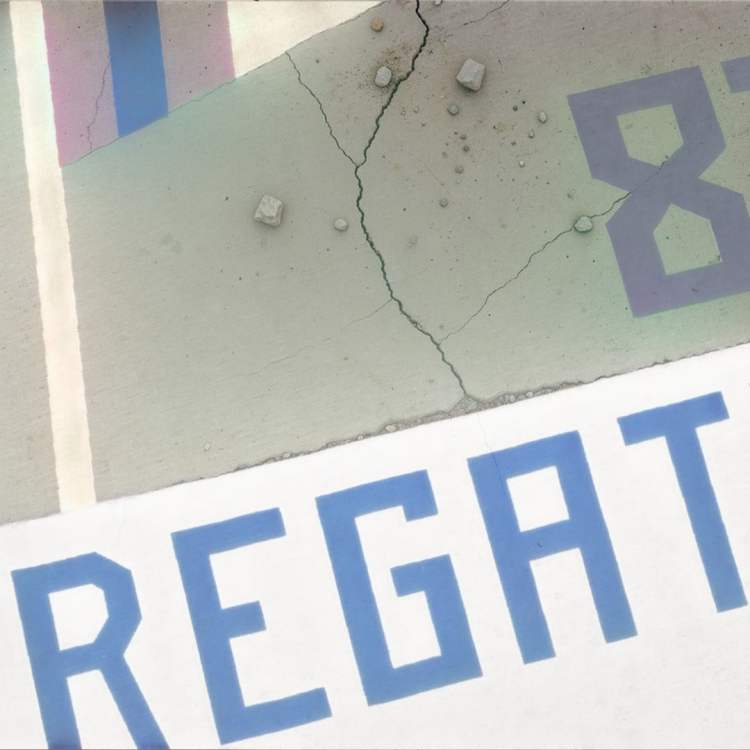 Camiseta Regata Aaron