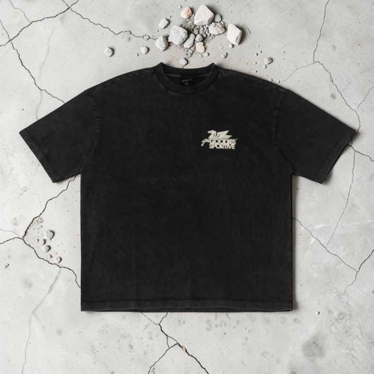 Camiseta Dusty premium Pegasus