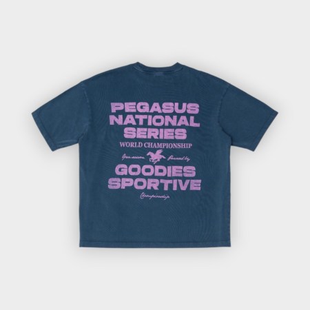 Camiseta Pegasus series blue