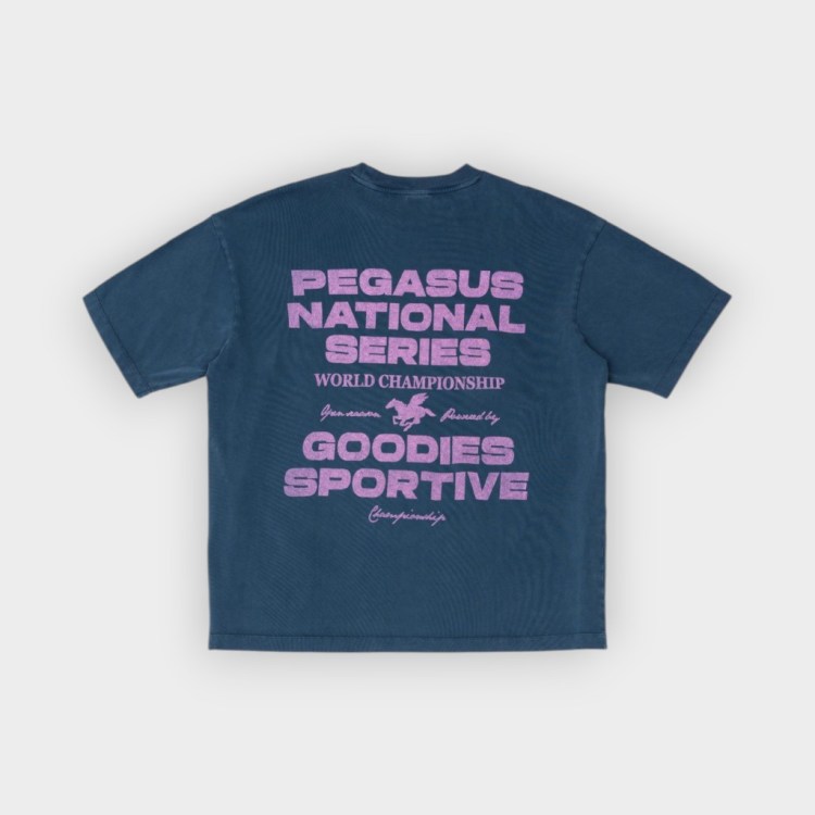 Camiseta Pegasus series blue