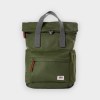 Roka Canfield avocado small