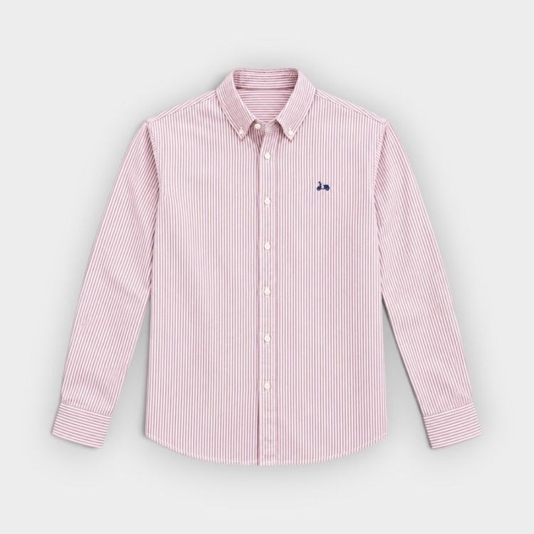 Scotta 1985 Camisa Oxford stripes burdeos